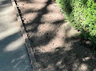 Michael S.'s Flower Bed Weeding service result