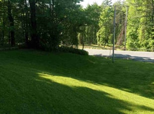 Dan B.'s lawn maintenance service result