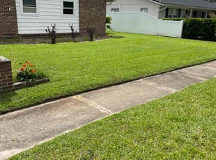 Korey o.'s turf maintenance service result