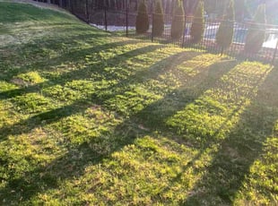 John C.'s grass cutting service result