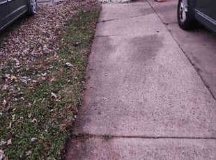 Carol K.'s lawn service service result