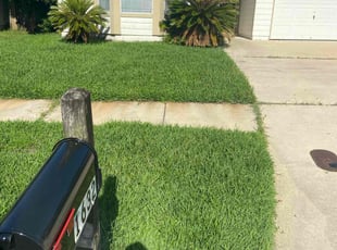 Derick N.'s grass maintenance service result