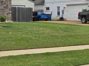 Joy C.'s turf care service result