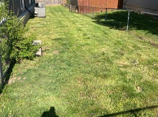 Kerry S.'s turf maintenance service result