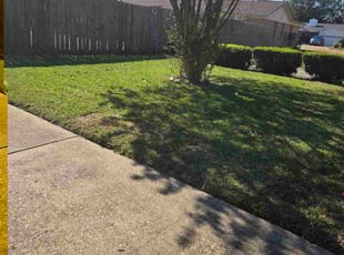Weber D.'s lawn care service result