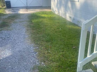 Michele C.'s grass maintenance service result