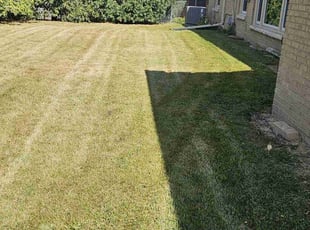 Jess F.'s lawn maintenance service result