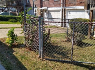Josh H.'s Bush Trimming service result