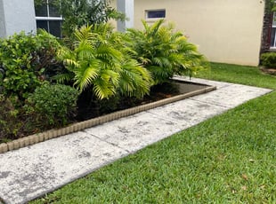 Sheila M.'s Bush Trimming service result