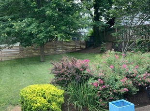 Mary C.'s Cleanups service result