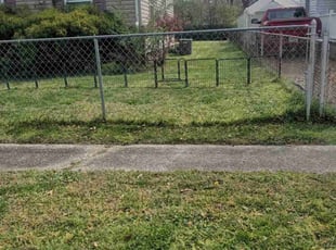 Douglas H.'s turf care service result