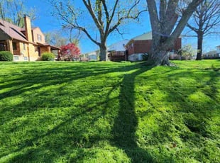 Taylor G.'s lawn care services service result