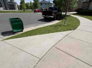 Lisa K.'s turf care service result