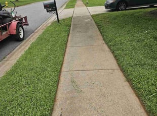 Christopher S.'s grass cutting service result