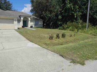 Valerie V.'s grass maintenance service result