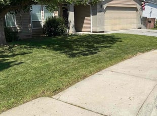 Carter S.'s turf maintenance service result