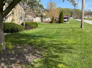 Day H.'s turf care service result