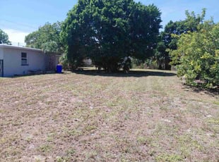 Courtney M.'s lawn care services service result