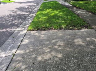 Nicole W.'s Bush Trimming service result