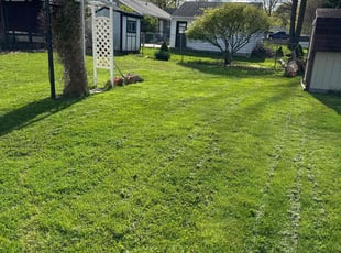 Bob S.'s lawn service service result