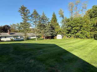 Scott P.'s grass maintenance service result