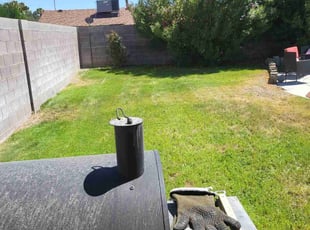 Emily S.'s grass maintenance service result