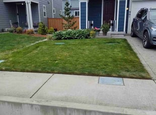 Miran W.'s grass cutting service result