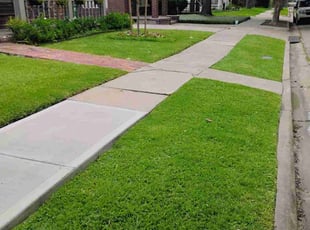 Tyler G.'s lawn care service result