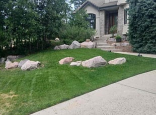 Beth M.'s turf maintenance service result
