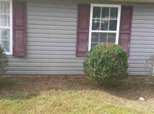 Pat S.'s Bush Trimming service result