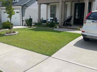 Elaine D.'s landscape maintenance service result