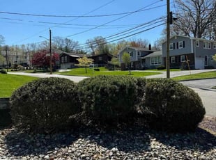 John R.'s turf care service result