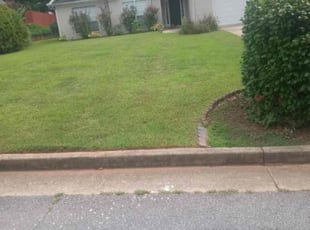 Katharine C.'s grass maintenance service result