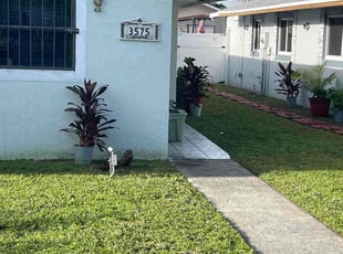 Christopher L.'s turf care service result