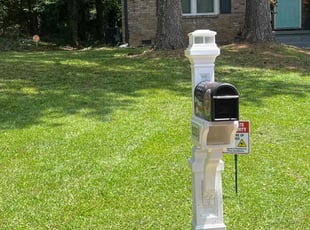 Judith F.'s turf care service result