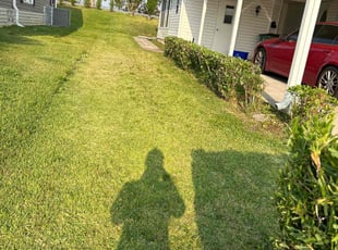 Kara O.'s Bush Trimming service result