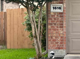 Donna W.'s turf maintenance service result