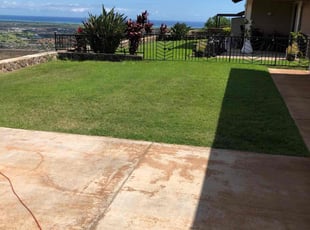 Valerie D.'s turf maintenance service result