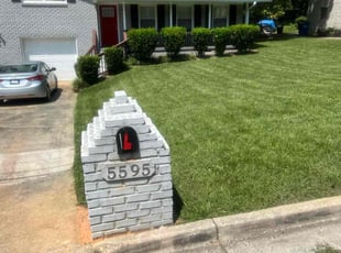 Wayne S.'s turf care service result