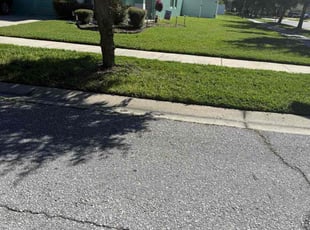 Kighe H.'s turf care service result