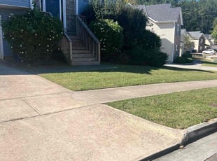 Sherry N.'s turf care service result