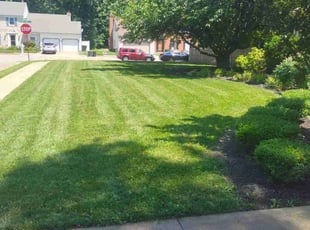 Delesha W.'s grass cutting service result
