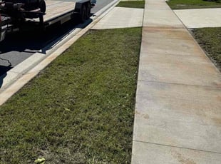 Naiyber B.'s lawn service service result