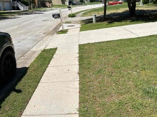 Lakeshia H.'s turf care service result