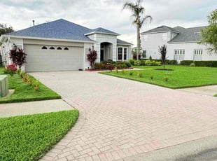 Ofer M.'s turf care service result