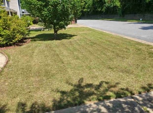 Derrick N.'s lawn care service result
