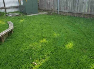 Desiree B.'s landscaping services service result