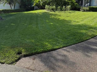 Brian F.'s grass maintenance service result