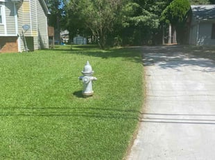 Gregory C.'s grass cutting service result