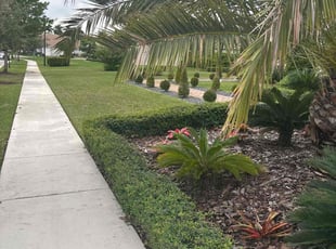 Kristy S.'s lawn maintenance service result